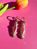 Rainbow Trout Earrings-1
