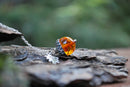 Amber and Silver Acorn Necklace-1