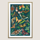 Modern Moth Art Print-1