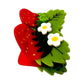 Strawberries and Flowers Jenny Lemons Hair Claw