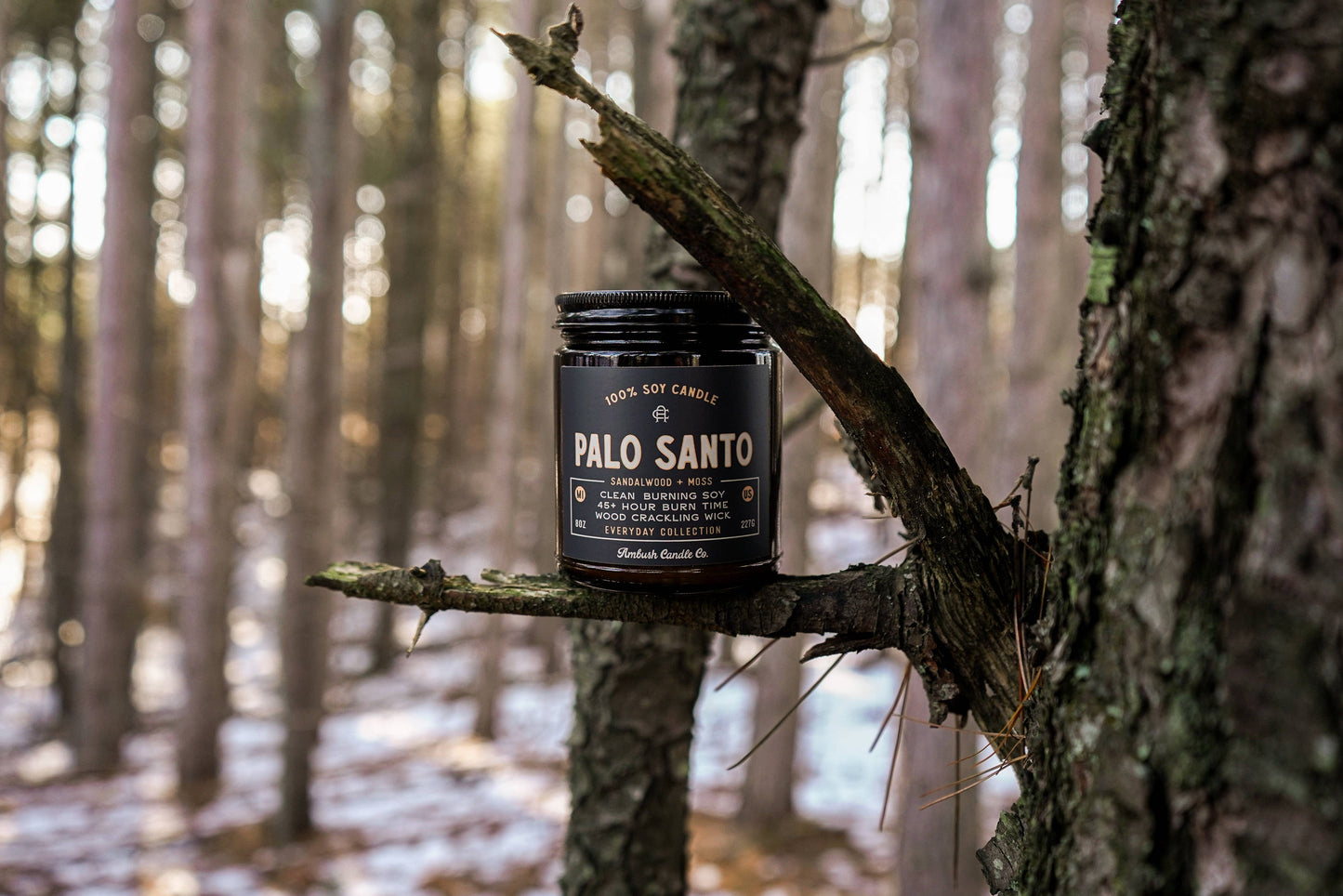 Palo Santo | Sandalwood + Moss Candle