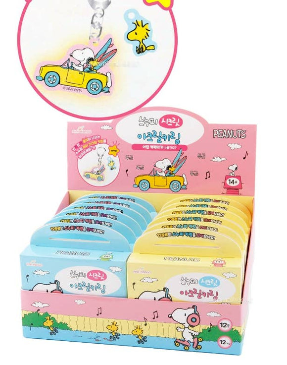 Snoopy Secret Double Mystery Keychain