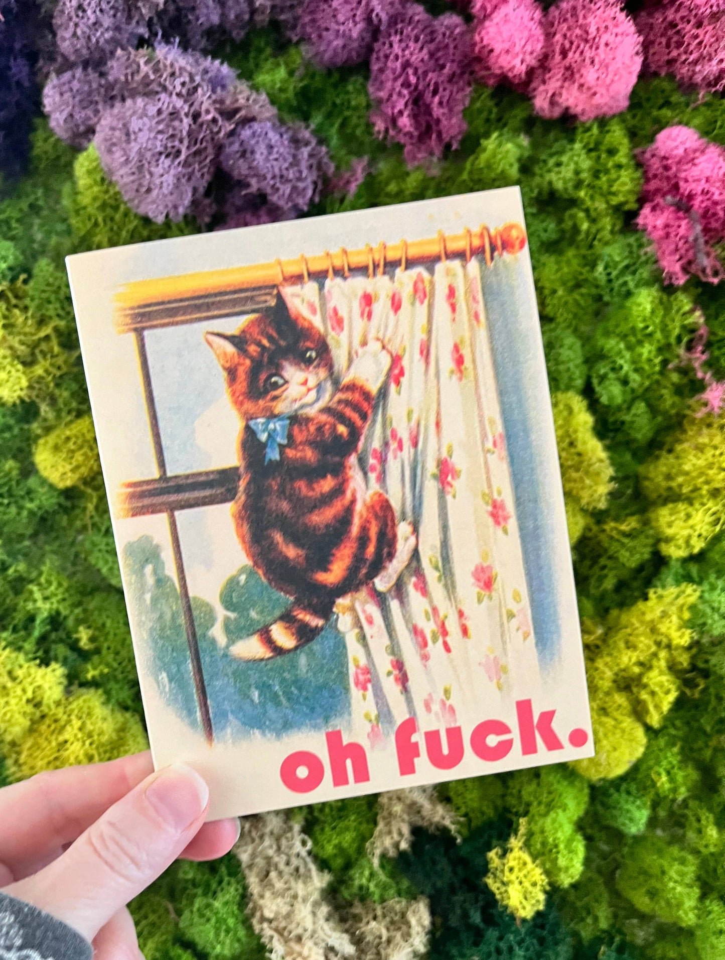 Oh Fuck Cat Card