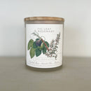 Fig Leaf & Rosemary Zoet Bathlatier Candle-2