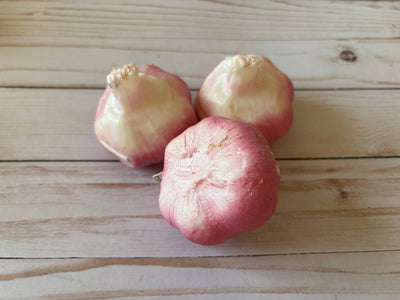 Garlic Coin Purse - 0