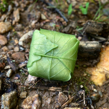 Sparta Candle Co: FOREST FOG Soap