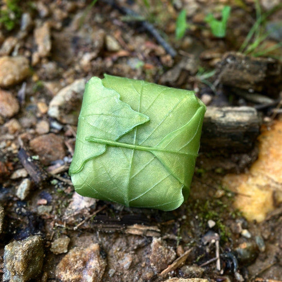 Sparta Candle Co: FOREST FOG Soap