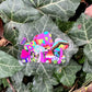 Mushroom LGBTQ+ Pride Garden Sticker