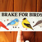 I Brake For Birds Bumper Sticker