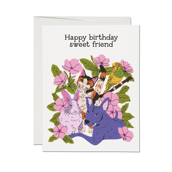 Sweet Friend Birthday Card