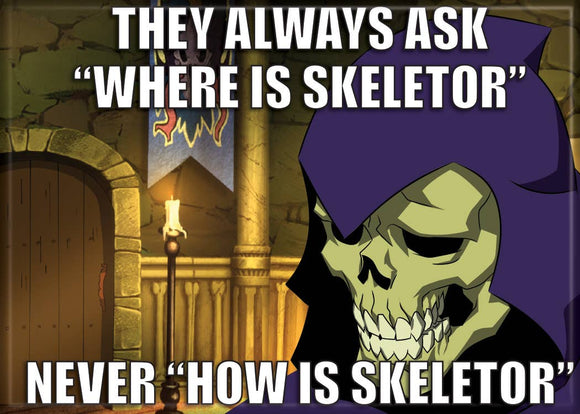 Masters of the Universe Never "How Is Skeletor" Magnet