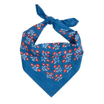 Juliet Bandana - 0