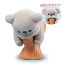 Baby Koala Blind Box-6