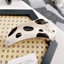 Spotted Jumping Dog Hair Claw-1