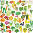 Vegetables Hako Sticker Box-4