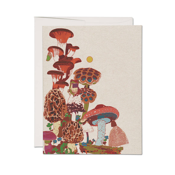 Frog and Fungi Card