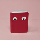 Googly Eye Mini Journal-2