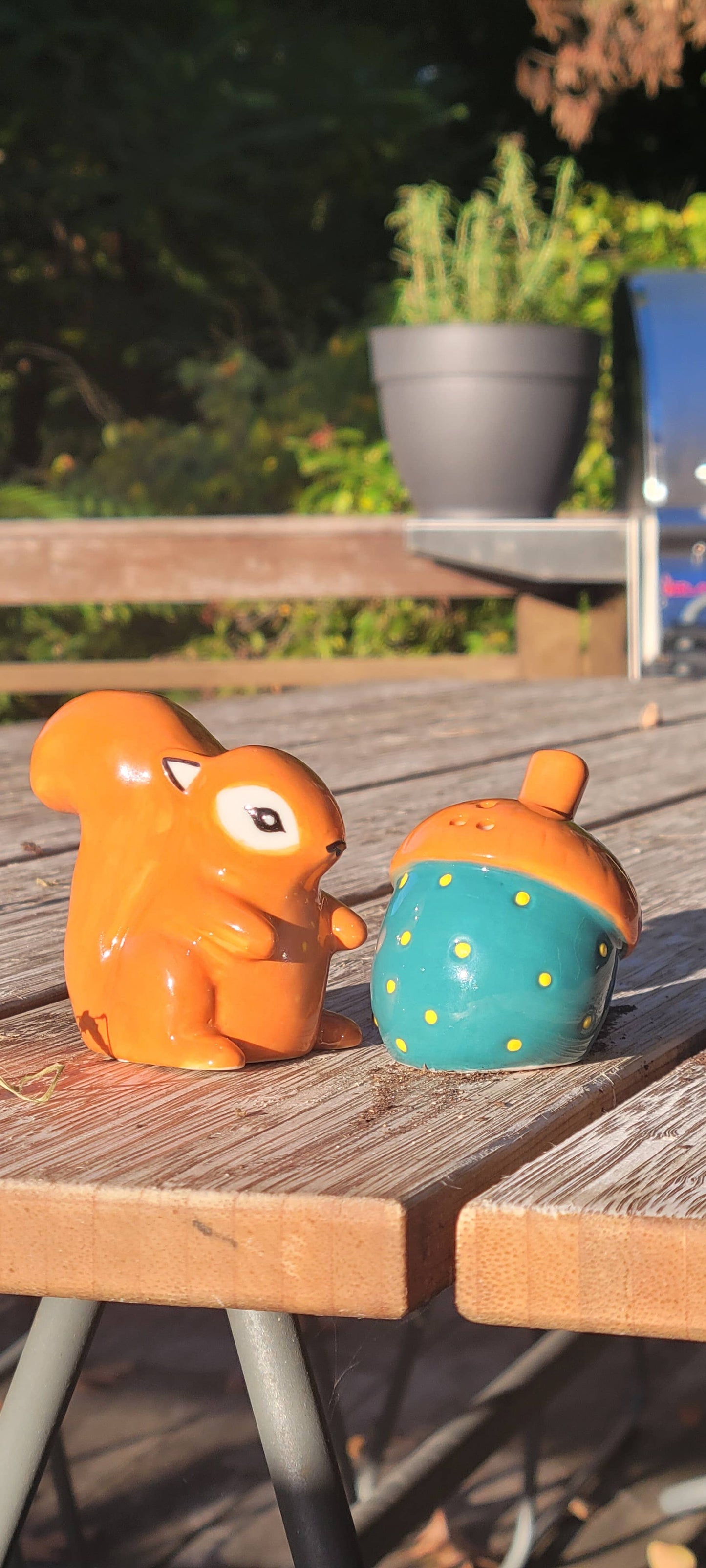 Squirrel & Acorn Salt & Pepper Set