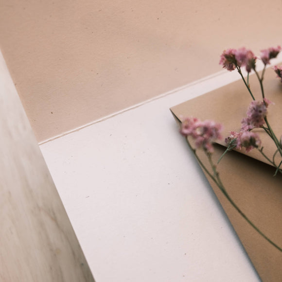 Cat Birdwatching Greeting Card