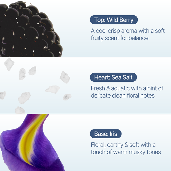 DROPLET Wild Berry Incense Drops | 26 Cones