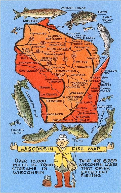 Wisconsin Fish Map Postcard