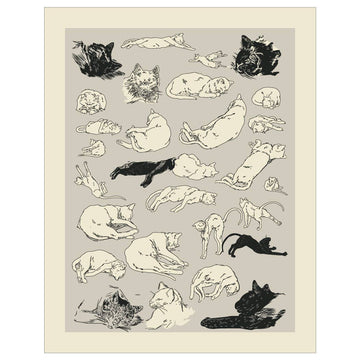 Cats Relaxing Magnet