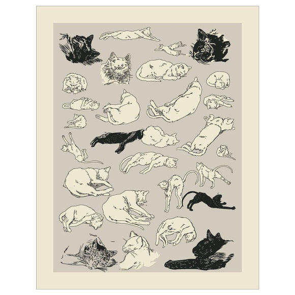 Cats Relaxing Magnet