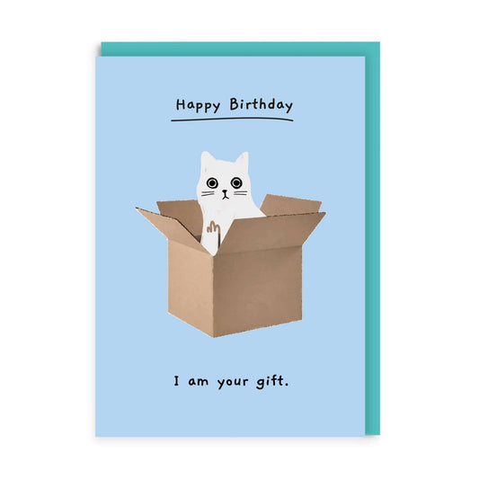 Cat In A Box Birthday Card