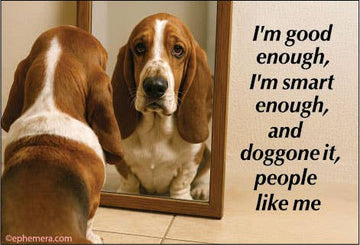 I'm Good Enough, I'm Smart Enough Magnet