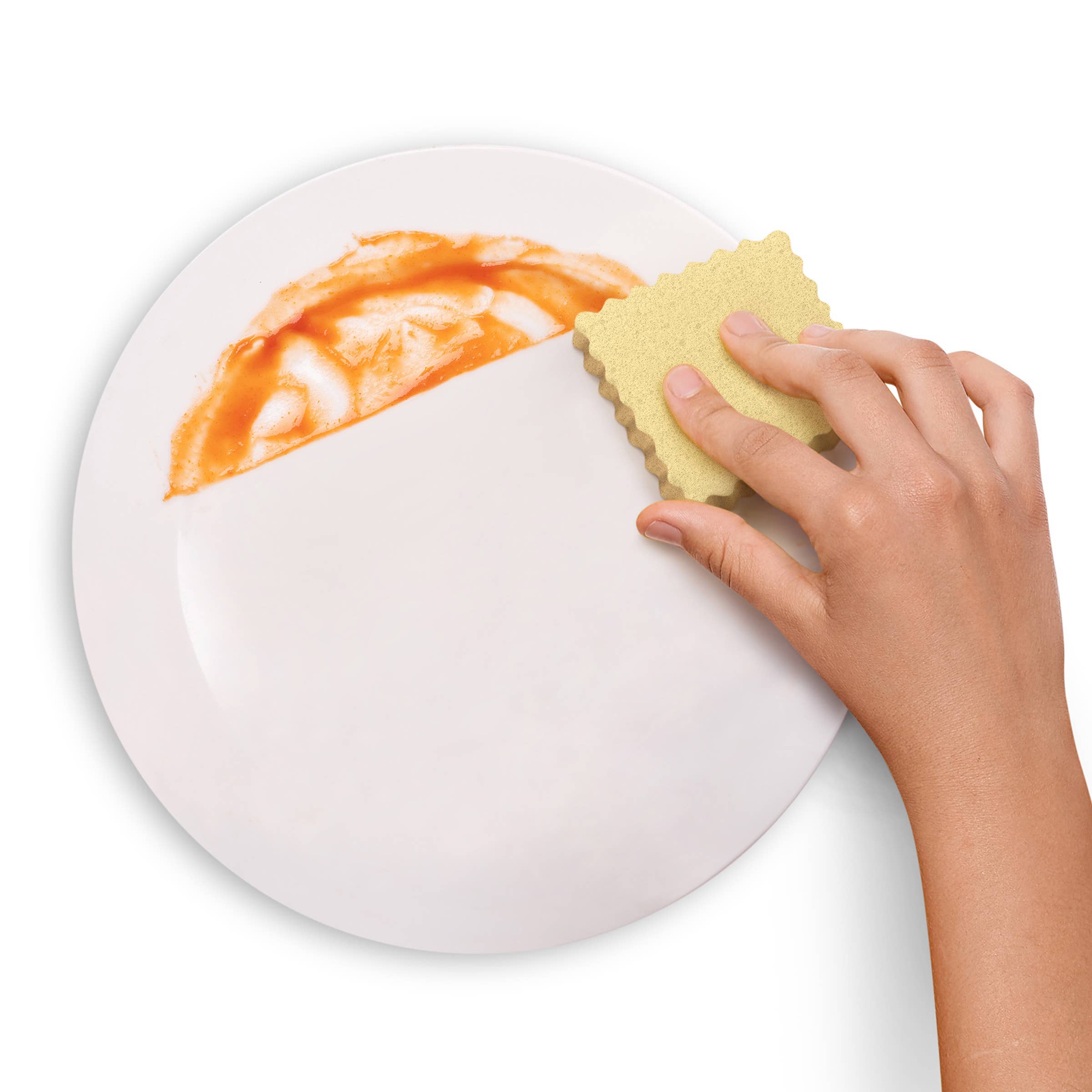 Ravioli Compressed Sponges - Set of 6