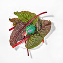 Rainbow Chard Jenny Lemons Hair Claw-10