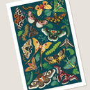 Modern Moth Art Print-2