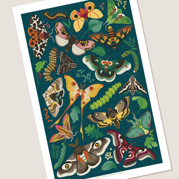 Modern Moth Art Print - 0