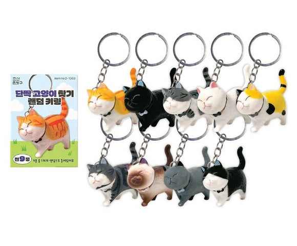 Best Friend Cat Mystery Keychain