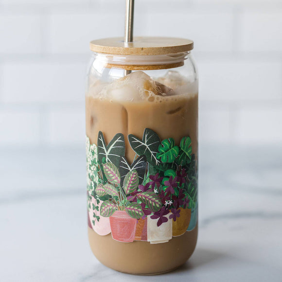 Houseplants Can Glass