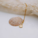 Sea Shell Necklace-3