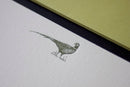 Pheasant Note Cards-2
