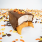 Pumpkin Spice Mini Chocolate Bar