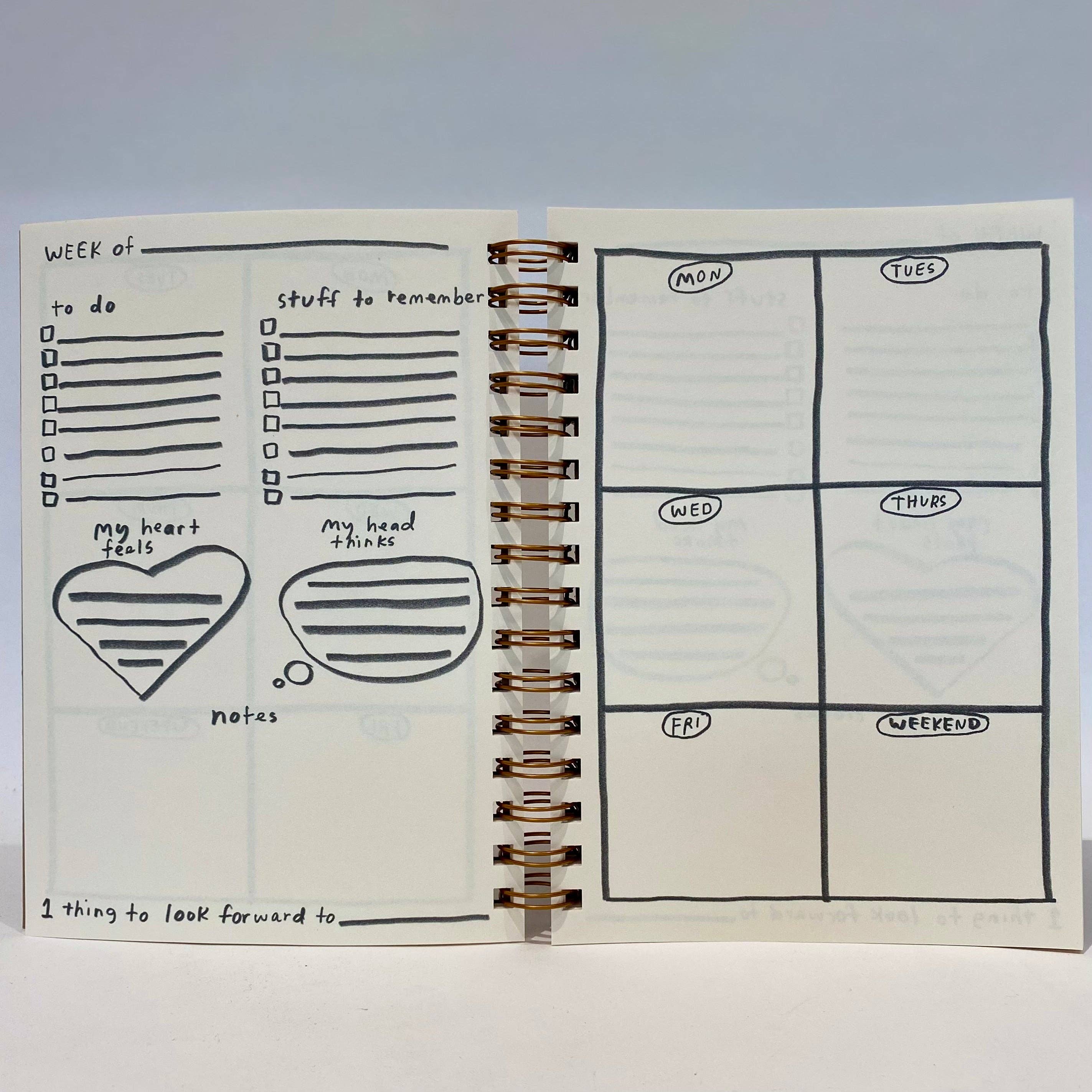 You Don't Have to Understand 12 Month Planner