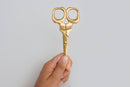 Skull Scissors-3
