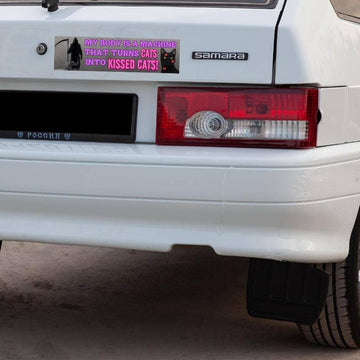 CATS Into KISSED CATS Bumper Sticker - 0