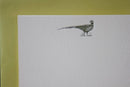 Pheasant Note Cards-1