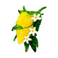 Lemon and Flowers Jenny Lemons Hair Claw