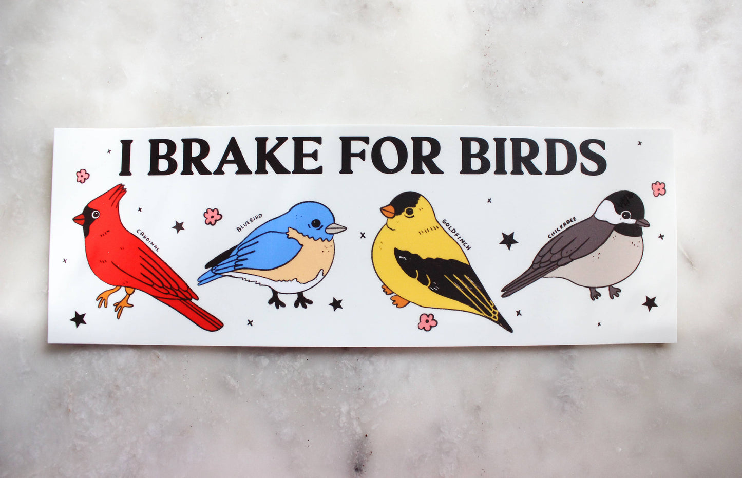 I Brake For Birds Bumper Sticker