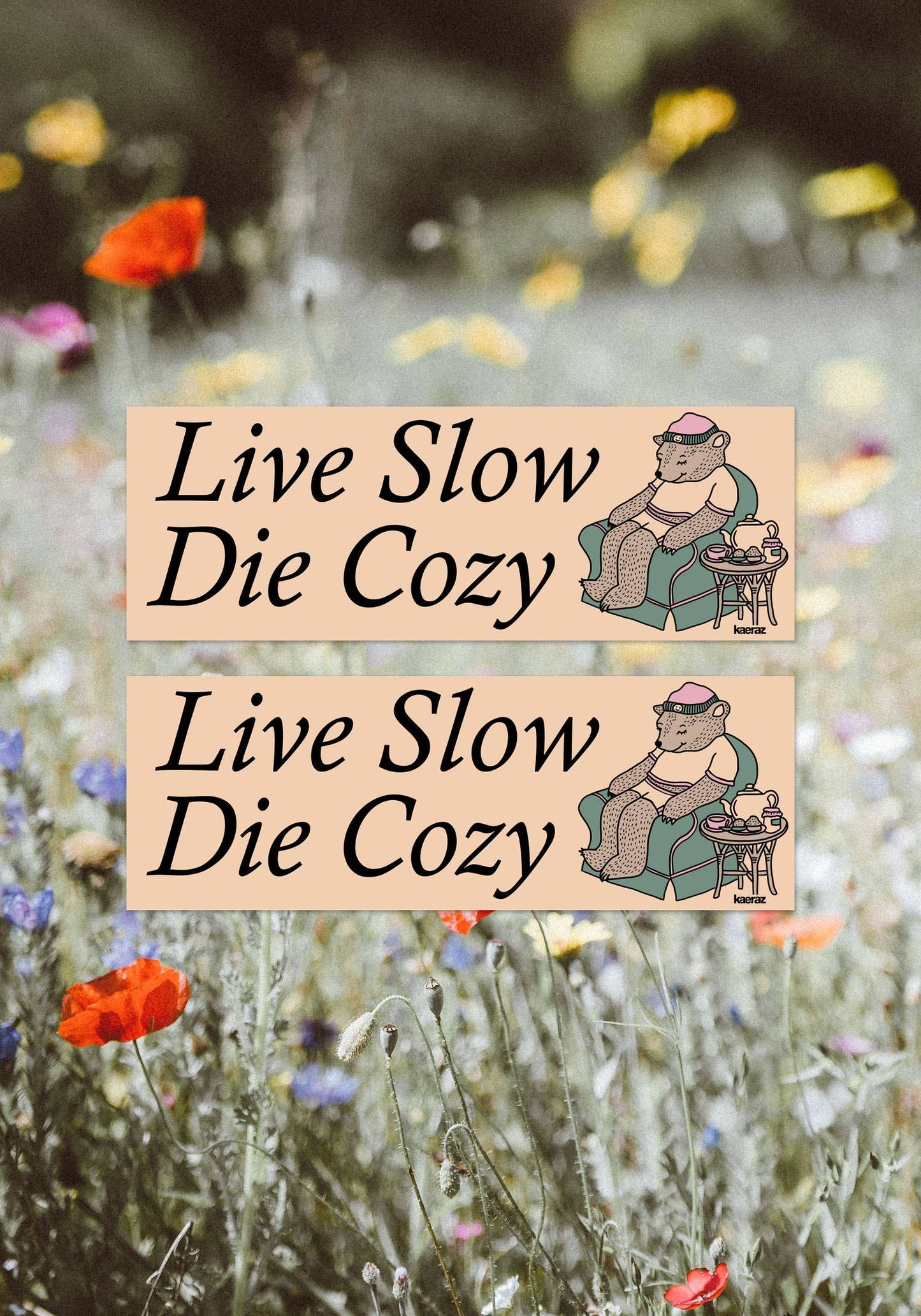 Live Slow Die Cozy Bumper Sticker