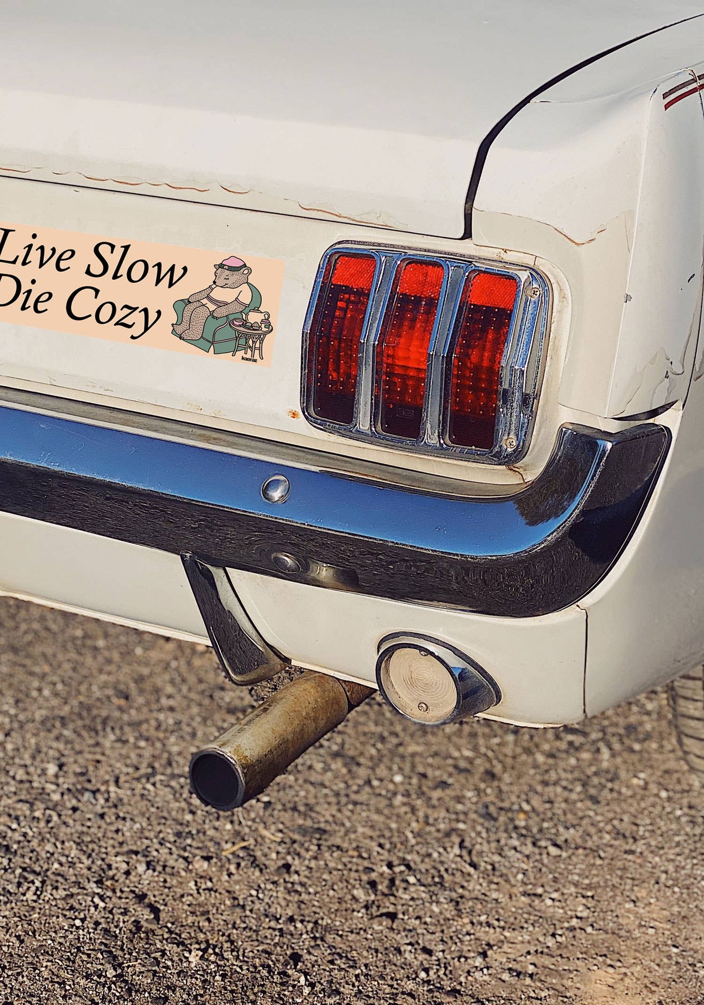 Live Slow Die Cozy Bumper Sticker