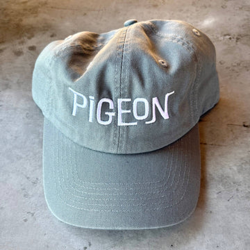 Pigeon Dad Hat