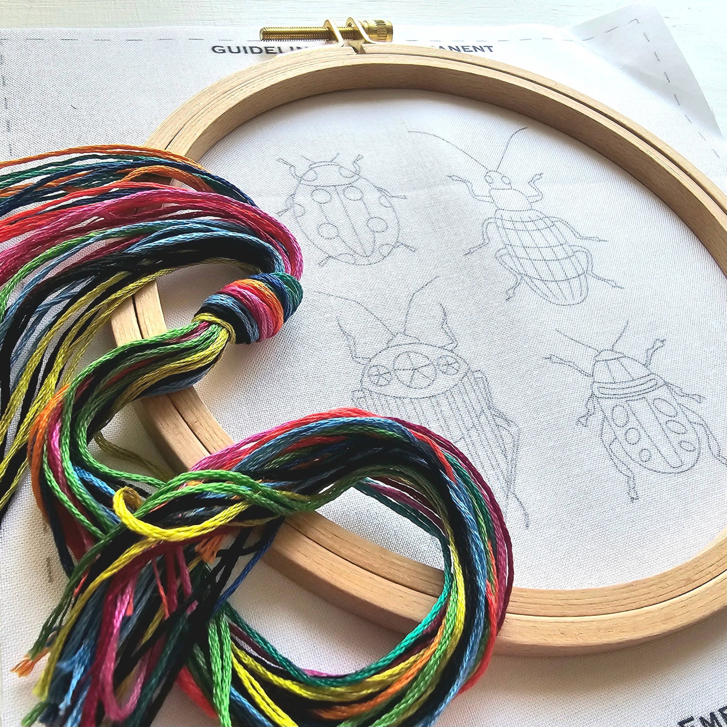 Beetle Collection Embroidery Kit