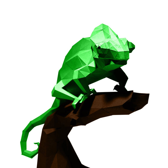 Chameleon PaperCraft Art Kit