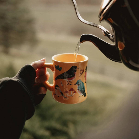 Eastern Backyard Birds Ceramic Mug